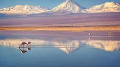 Esta selección combina paisajes impresionantes con una amplia variedad de actividades. Esta selección combina paisajes impresionantes con una amplia variedad de actividades.
