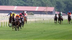 Calendario y programa de carreras en el Hipódromo de San Isidro y La Plata. Calendario y programa de carreras en el Hipódromo de San Isidro y La Plata.
