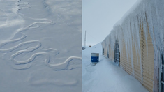 La Patagonia es una de las regiones más afectadas por las bajas temperaturas. La Patagonia es una de las regiones más afectadas por las bajas temperaturas.