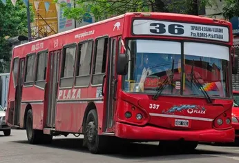 C5N | Línea 36 tapiales colectivo transporte público bondi