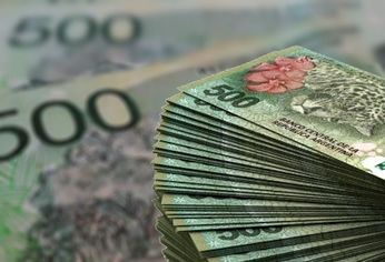 El Gobierno inyectó más de $51.000 millones en estos créditos en 2021.
