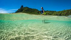 Una playa ideal para aquellos amantes de la fauna marina. Una playa ideal para aquellos amantes de la fauna marina.
