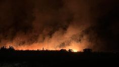 Varias dotaciones de bomberos trabajan en el lugar.