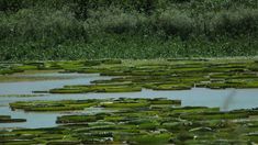 Inaugurado en 2010, este lugar está abierto para visitas diurnas, y también es posible acampar con inscripción previa. Inaugurado en 2010, este lugar está abierto para visitas diurnas, y también es posible acampar con inscripción previa.