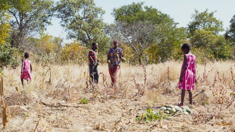 Zimbabue sufre el fenómeno de El Niño.