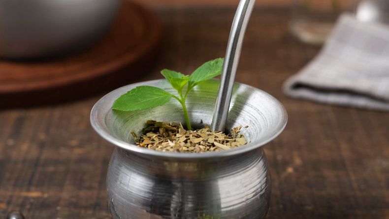 Aunque el café suele ser la elección más común para combatir el cansancio, el mate puede convertirse en una alternativa aún más efectiva si se le incorpora un ingrediente clave: la menta