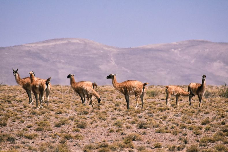 Este pueblo contiene no sólo hermosos paisajes