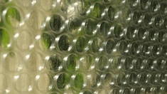 ¿Por qué los plásticos con burbujas pueden ser claves para tus plantas y tu jardín, según expertos?. ¿Por qué los plásticos con burbujas pueden ser claves para tus plantas y tu jardín, según expertos?.