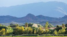Este rincón salteño es conocido por su producción vitivinícola de altura. Este rincón salteño es conocido por su producción vitivinícola de altura.