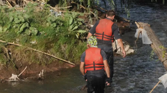 Los investigadores llegaron a la casa de la víctima y encontraron a la hija, a la que se le tomará declaración informativa. Los investigadores llegaron a la casa de la víctima y encontraron a la hija, a la que se le tomará declaración informativa.