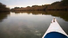 Vacaciones en Uruguay 2025: un arroyo espectacular para andar en canoa. Vacaciones en Uruguay 2025: un arroyo espectacular para andar en canoa.