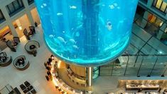 Video: la increíble explosión del acuario cilíndrico más grande del mundo en Berlín Video: la increíble explosión del acuario cilíndrico más grande del mundo en Berlín