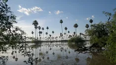 Una de las zonas donde se puede pescar los mejores dorados de la Argentina. Una de las zonas donde se puede pescar los mejores dorados de la Argentina.