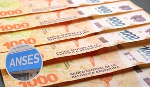ANSES entrega un bono de $20.000 a quienes cumplan con los requisitos. ANSES entrega un bono de $20.000 a quienes cumplan con los requisitos.