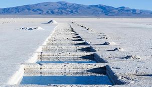 Milei admitió que Elon Musk está interesado en el litio argentino.