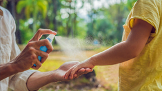 Brote histórico de dengue: en PBA, fabrican y reparten repelentes en distintos barrios Brote histórico de dengue: en PBA, fabrican y reparten repelentes en distintos barrios