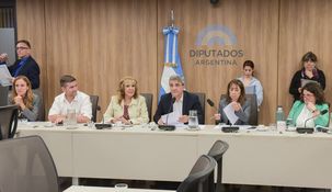 La iniciativa fue acordada por unanimidad en las Comisiones de Familia y de Salud.
