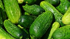 Conocé los pasos para congelar el pepino. Conocé los pasos para congelar el pepino.