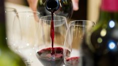 AFIP subasta 3 mil botellas de vinos secuestradas en distintos operativos: dónde y como participar AFIP subasta 3 mil botellas de vinos secuestradas en distintos operativos: dónde y como participar