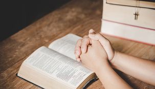 Este recurso busca acompañar a los fieles en su jornada espiritual, brindando enseñanzas para la reflexión personal. Este recurso busca acompañar a los fieles en su jornada espiritual, brindando enseñanzas para la reflexión personal.