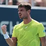 Actualmente ocupa el puesto 49 del ranking ATP y llegó a ser número 29 del mundo.