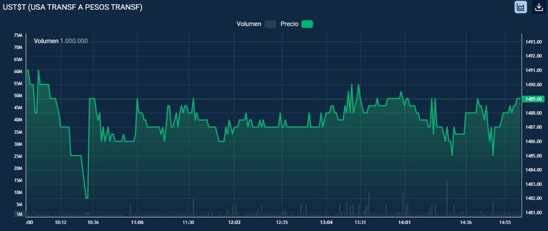 El comportamiento del dólar mayorista de este miércoles, con el Tesoro de EEUU como único oferente en $1.489.