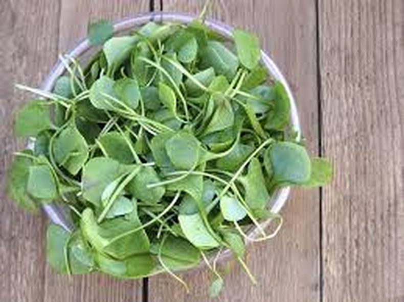 Cuáles son los beneficios del berro Cuáles son los beneficios del berro