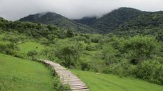A poca distancia de la capital salteña, se encuentran una ciudad rodeada de yungas y naturaleza. A poca distancia de la capital salteña, se encuentran una ciudad rodeada de yungas y naturaleza.