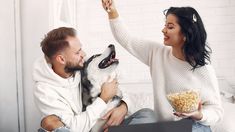el impresionante sueldo millonario que ofrece una familia para cuidar a sus perros