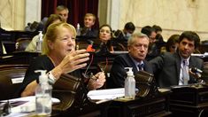 Margarita Stolbizer, de Encuentro Federal, presentó la iniciativa.