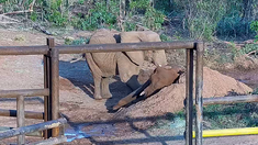 Pupy pasó la noche acompañada de Kenia que tomó el papel de la hermana mayor. Pupy pasó la noche acompañada de Kenia que tomó el papel de la hermana mayor.