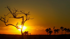 El jardín de Maytrea deslumbra con su paisaje virgen, atardeceres vibrantes y la silueta del Morro da Baleia en el horizonte. El jardín de Maytrea deslumbra con su paisaje virgen, atardeceres vibrantes y la silueta del Morro da Baleia en el horizonte.