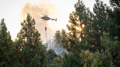 El incendio forestal se desató el domingo pasado en El Bolsón. El incendio forestal se desató el domingo pasado en El Bolsón.