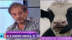 Alejandro Awada contó cómo se grabó la escena de la vaca: Fue milagroso, no creíamos lo que estaba pasando Alejandro Awada contó cómo se grabó la escena de la vaca: Fue milagroso, no creíamos lo que estaba pasando