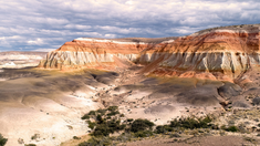 El bosque petrificado revela cómo era la región patagónica en la era de los dinosaurios. El bosque petrificado revela cómo era la región patagónica en la era de los dinosaurios.
