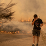 Los incendios se cobraron la vida de 12 personas.