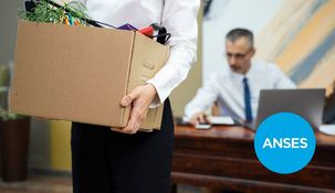 Esta prestación económica mensual está dirigida a empleados en relación de dependencia que hayan perdido su trabajo sin voluntad propia. Esta prestación económica mensual está dirigida a empleados en relación de dependencia que hayan perdido su trabajo sin voluntad propia.