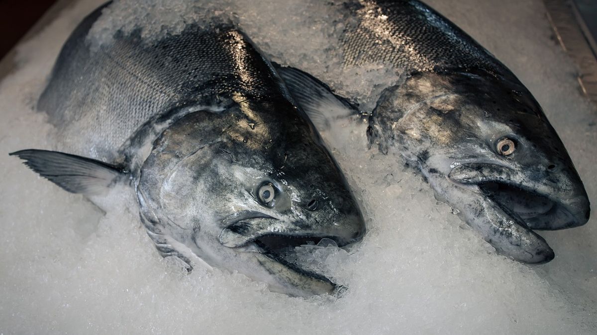 Cómo debe congelarse el pescado para conservar sus propiedades