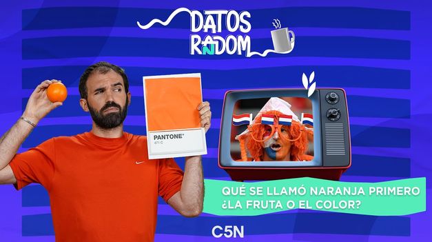C5N | ¿QUÉ SE LLAMÓ NARANJA PRIMERO: LA FRUTA O EL COLOR?