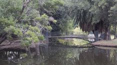 Este espejo de agua es el más antiguo de Palermo. Este espejo de agua es el más antiguo de Palermo.