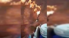 El joven que prendió fuego un bosque de Corrientes con un lanzallamas. El joven que prendió fuego un bosque de Corrientes con un lanzallamas.