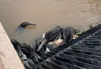 C5N | Canal de la Patria