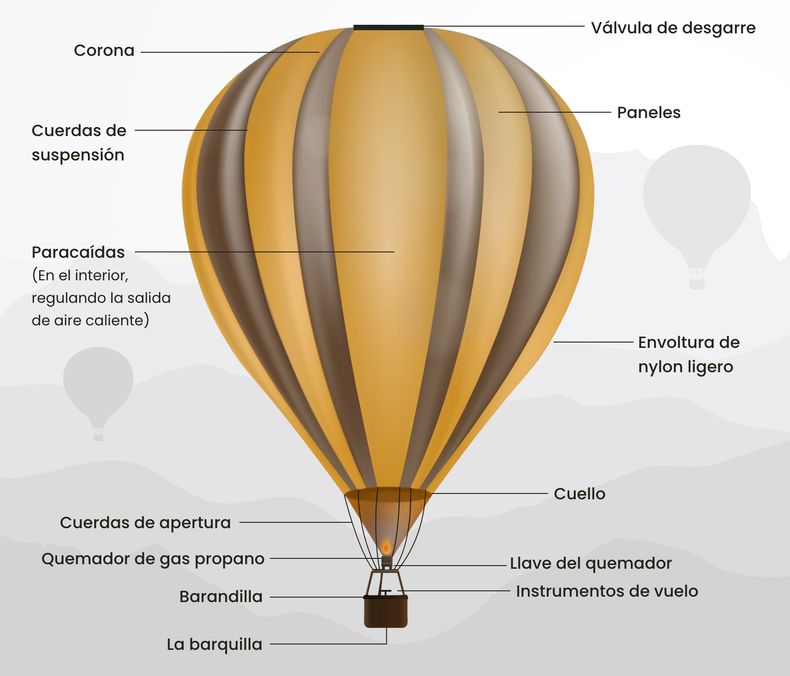 Infografía de www.globuspirineu.com