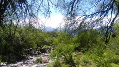 En Córdoba hay una Reserva Natural con senderos, zorros, pumas e iguanas. En Córdoba hay una Reserva Natural con senderos, zorros, pumas e iguanas.