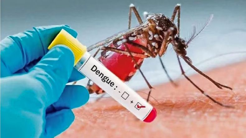 Presentaron un proyecto de ley para incluir la vacuna contra el dengue en el calendario obligatorio.
