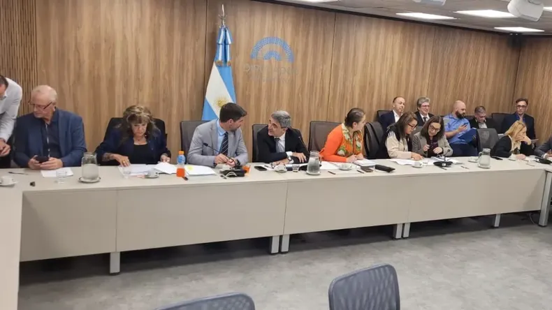 La Comisión de Acción Social y Salud Pública elevó un pedido de informe al Gobierno tras las muertes por fentanilo contaminado.
