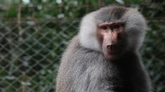 El proyecto de ley se promovió en el marco de un foro participativo. El proyecto de ley se promovió en el marco de un foro participativo.