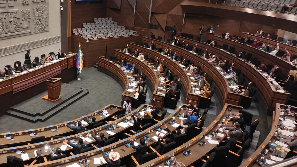"Presunción de legalidad", el Congreso de Bolivia reguló el 