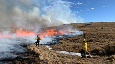 En el mes de julio cerca de 300 bomberos combatieron el fuego en el cerro Champaquí .png En el mes de julio cerca de 300 bomberos combatieron el fuego en el cerro Champaquí .png