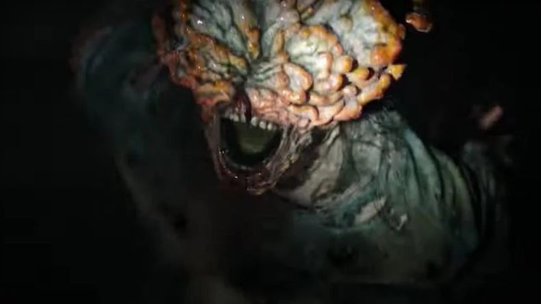 El hongo Cordyceps de The Last of Us es real: ¿Cómo actúa y qué provoca?